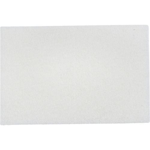 Tampons manuels Bear-Tex, Non abrasif, 9" x 6" Absolute Business Supply
