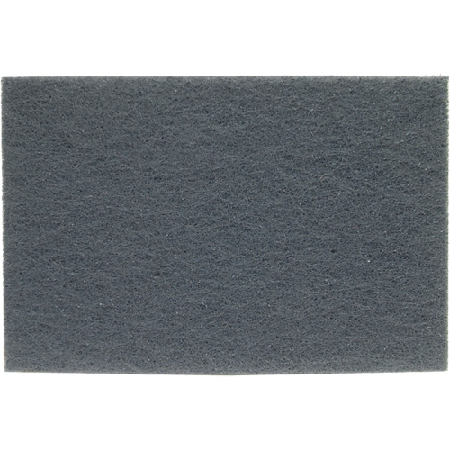 Tampons manuels Bear-Tex, Carbure de silicium, 6" x 9", Grain Ultra fin Absolute Business Supply