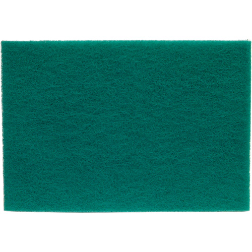 Tampons manuels Bear-Tex, Oxyde d'aluminium, 6" x 9", Grain Tr&egrave;s fin Absolute Business Supply