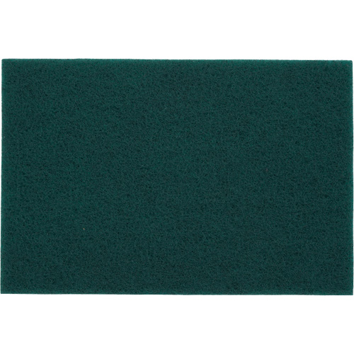 Tampons manuels Bear-Tex, Oxyde d'aluminium, 6" x 9", Grain Tr&egrave;s fin Absolute Business Supply