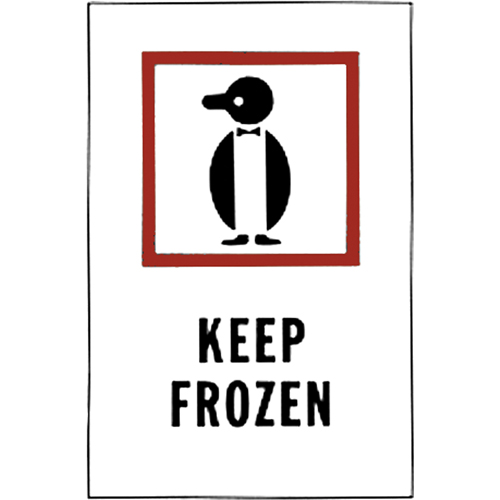 &eacute;tiquettes pour traitement sp&eacute;cial Keep Frozen, 6" lo x 4" la, Rouge/blanc Absolute Business Supply
