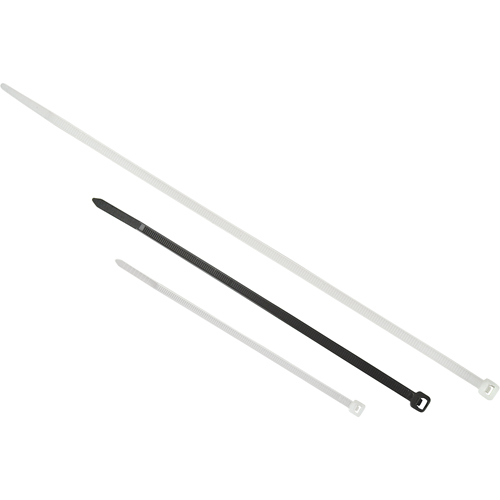 Attaches de c&acirc;bles pour entrepreneur, Longueur 24", R&eacute;sistance &agrave; la traction 175 LB, Naturel Absolute Business Supply