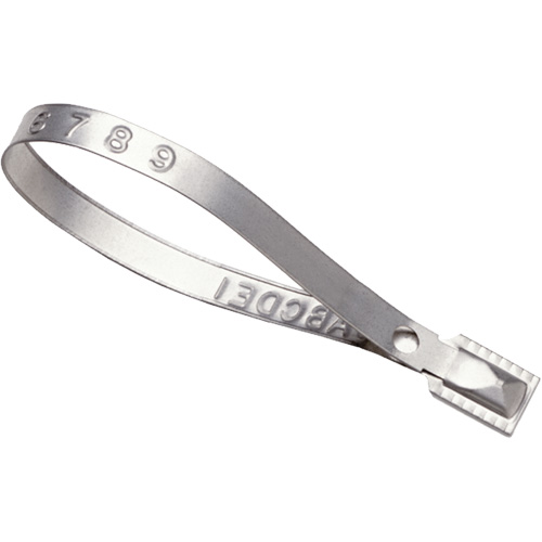 Scell&eacute;s Guard Lock, 8-3/8", M&eacute;tal, Scell&eacute; pour camion Absolute Business Supply