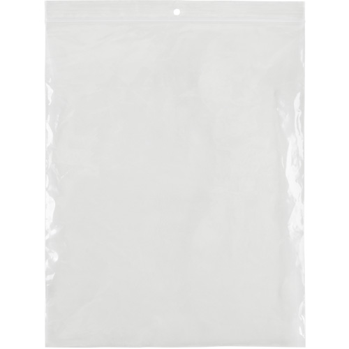 Poly Bags, Reclosable, 10" x 8", 2 mils Absolute Business Supply