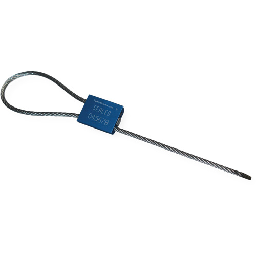 Scell&eacute; de s&eacute;curit&eacute; &agrave; c&acirc;ble Flexsecure FS35, 12", M&eacute;tal, Scell&eacute; &agrave; c&acirc;ble Absolute Business Supply