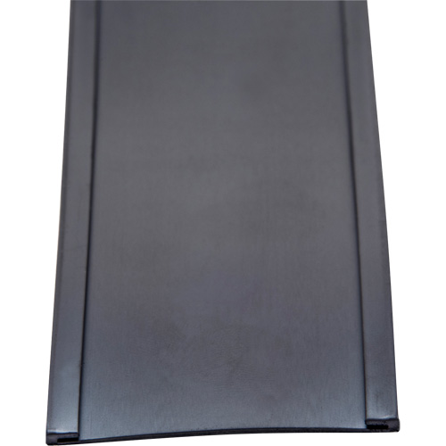 Card Holder, Magnetic, 600" L x 2" W Absolute Business Supply