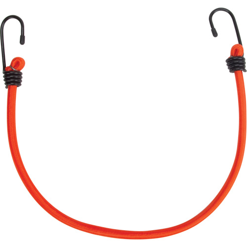 Sangles d'arrimage &eacute;lastiques, 18" Absolute Business Supply