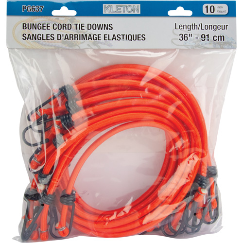 Bungee Cord Tie Downs, 36" Absolute Business Supply
