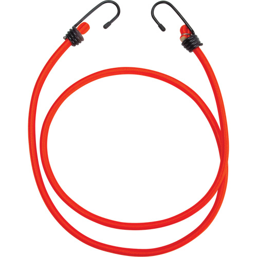 Sangles d'arrimage &eacute;lastiques, 48" Absolute Business Supply