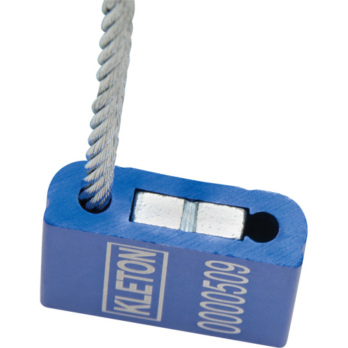 Scell&eacute;s de haute s&eacute;curit&eacute;, 12", M&eacute;tal, Scell&eacute; &agrave; c&acirc;ble Absolute Business Supply