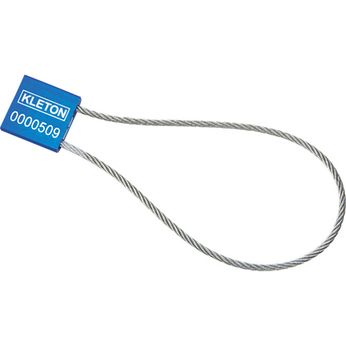 Scell&eacute;s de haute s&eacute;curit&eacute;, 12", M&eacute;tal, Scell&eacute; &agrave; c&acirc;ble Absolute Business Supply