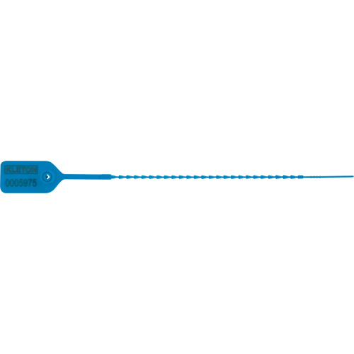 Scell&eacute; de s&eacute;curit&eacute; standard, 9", Plastique, Pousser et tirer Absolute Business Supply