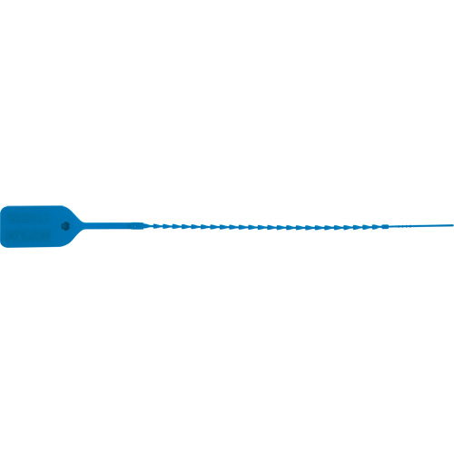 Scell&eacute; de s&eacute;curit&eacute; standard, 9", Plastique, Pousser et tirer Absolute Business Supply