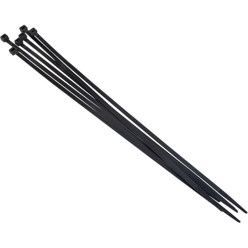 Cable Tie, 8" Long Absolute Business Supply