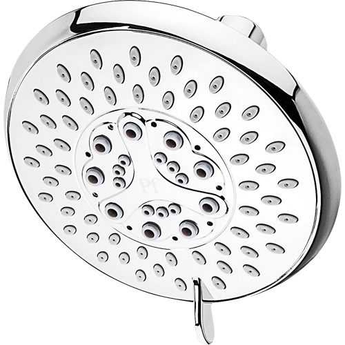 Multi-Function Showerhead Absolute Business Supply