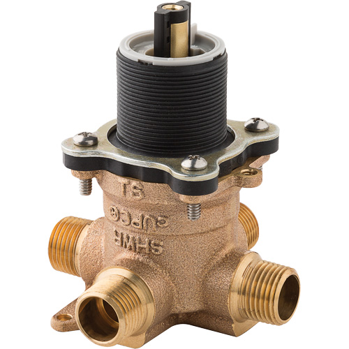 Valve brute pour baignoire et douche de s&eacute;rie 0X8 Absolute Business Supply