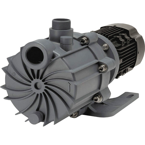 Self-Priming Magnetic Drive Pump with Carbon Bushing Absolute Business Supply