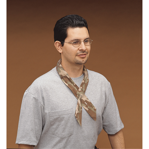 ALLEGRO INDUSTRIES Cool Offs Bandana, Multi-Colour Absolute Business Supply