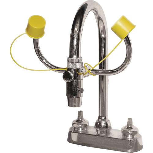 Eyewash Station, Sink Mount Installation Absolute Business Supply