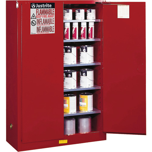 Armoire de s&eacute;curit&eacute; pour la peinture et les encres combustibles EX Sure-Grip, 60 gal., 5 tablettes Absolute Business Supply