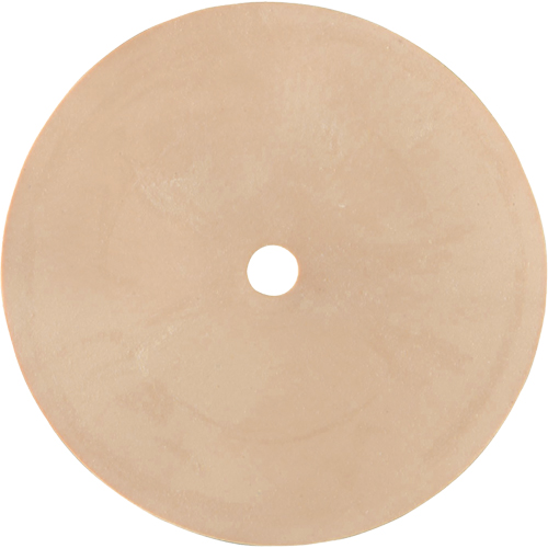 Survivair&reg; Inhalation Valve Absolute Business Supply
