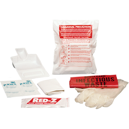 Fluid Spill Clean-Up Kit, Hazmat, Bag Absolute Business Supply