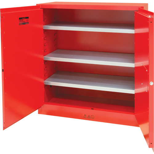 Armoire pour peintures et encres, 45 gal., 3 tablettes Absolute Business Supply