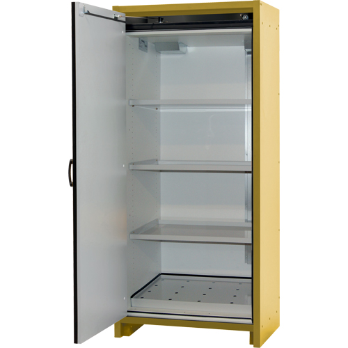 Armoire d'entreposage 30 minutes s&eacute;curitaire et conforme &agrave; la norme EN, 30 gal., 1 Porte(s), 34,02" La x 76,65" h x 24,21" p Absolute Business Supply