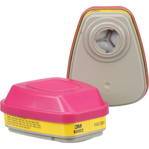 6000 Series Respirator Cartridges, Gas/Vapour Cartridge, Organic Vapour/Acid Gas/P100 Absolute Business Supply