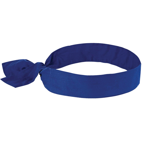 Foulards de refroidissement Chill-Its 6700, Bleu Absolute Business Supply