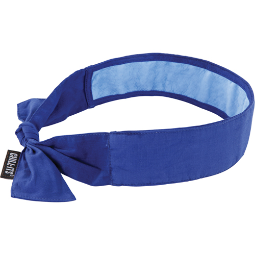 Chill-Its&reg; 6700CT Cooling Bandanas, Blue Absolute Business Supply