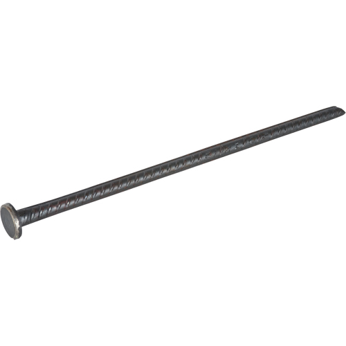 Rebar Spike Absolute Business Supply