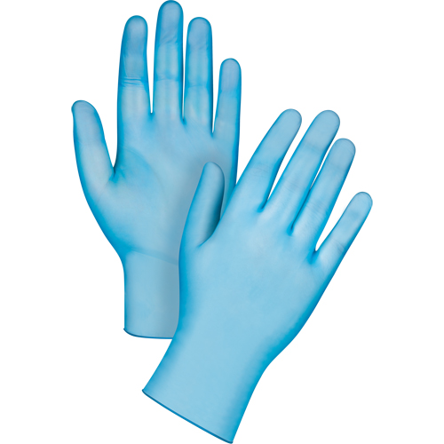 Medical-Grade Disposable Gloves, Large, Vinyl, 4.5-mil, Powder-Free, Blue, Class 2 Absolute Business Supply