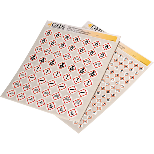 Assortiment d'&eacute;tiquettes avec pictogrammes sgh, Vinyle, Feuille, 1" lo x 1" la Absolute Business Supply