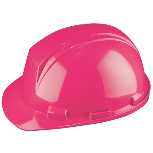 Dynamic Mont-Blanc Hardhat, Meets CSA Type 2, Pinlock Suspension, Non-Vented Absolute Business Supply