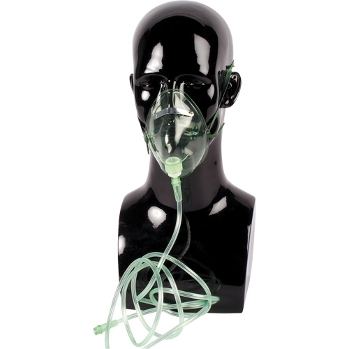 Dynamic Oxygen Mask Absolute Business Supply