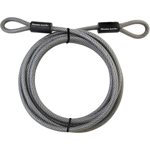 C&acirc;ble &agrave; extr&eacute;mit&eacute; boucl&eacute;e, Longueur de 15' Absolute Business Supply