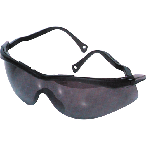 Lunettes de s&eacute;curit&eacute; North The Edge, Lentille Fum&eacute;e, Antibu&eacute;e/Anti-&eacute;gratignures, R&eacute;pond ou surpasse la norme CSA Z94.3 Absolute Business Supply