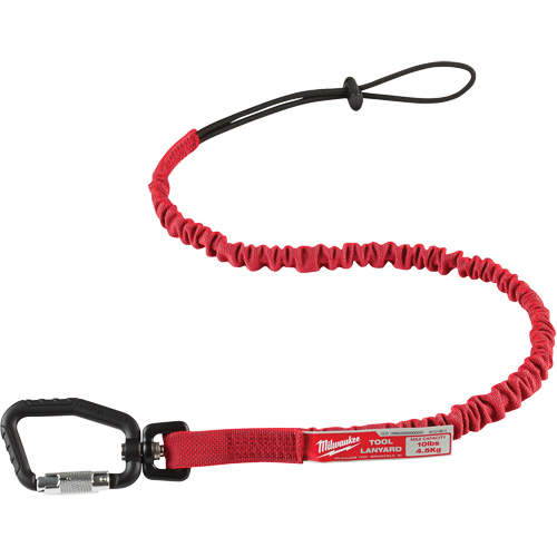 Locking Tool Lanyard, Bungee, Carabiner/Loop Absolute Business Supply