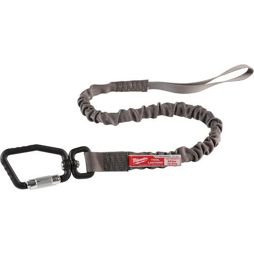Locking Tool Lanyard, Bungee, Carabiner/Loop Absolute Business Supply