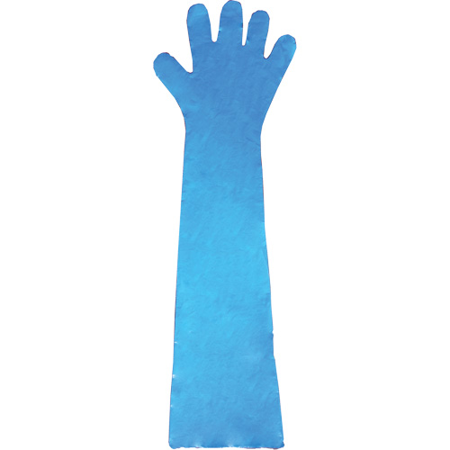 Gants jetables en latex, Gants jetables, Gants jetables en vinyle, Poly&eacute;thyl&egrave;ne, Sans poudre, Bleu Absolute Business Supply