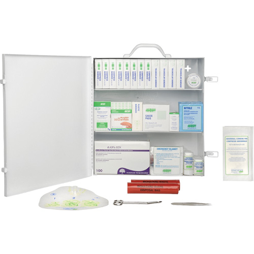 First Aid Kit, Meets CSA Z1220-17 Type 2 Low-Risk Environment, Large (51-100 Workers) Absolute Business Supply