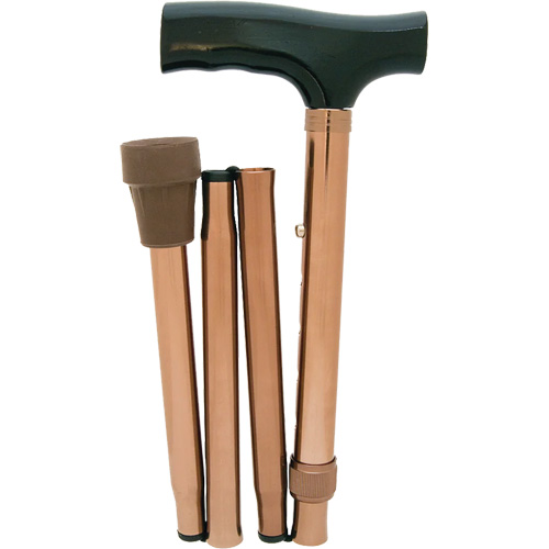 Canne pliante Absolute Business Supply