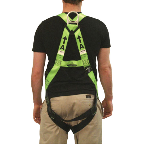 FBH-10000L Contractor Series Safety Harness, CSA Certified, Class AL, 400 lbs. Cap. Absolute Business Supply