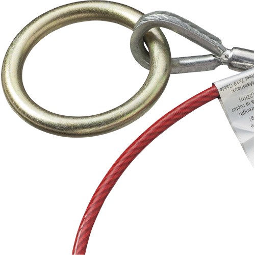 AS-21210-6 6' Cable Anchor with Snap Hook & O-Ring, Sling, Temporary Use Absolute Business Supply