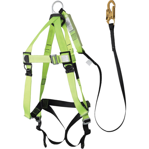 FBH-10000A5440-6 Harnais & longe classe A de 6' avec capacit&eacute; de 220 lb, Combinaison harnais/longe Absolute Business Supply