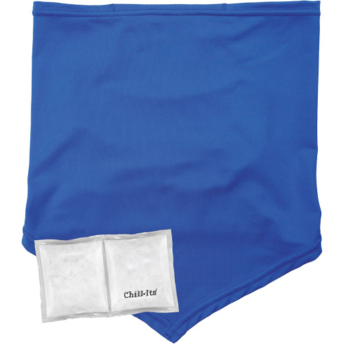 Chill-Its 6482 Cooling Neck Gaiter Bandana with Rechargeable Phase Change Packs,  Large/X-Large, Blue Absolute Business Supply