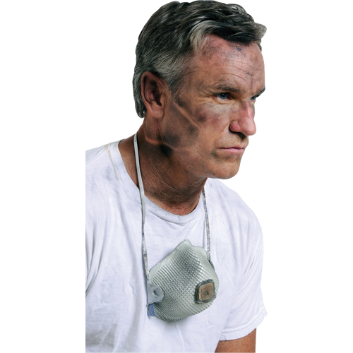 Respirateurs  contre les particules 2700, N95, Certifi&eacute; NIOSH, Grand/Moyen Absolute Business Supply