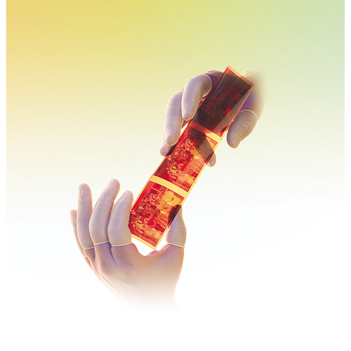 QRP&reg; Powder-Free Qualatex Latex Finger Cots Absolute Business Supply