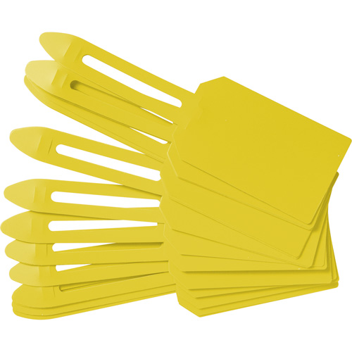 &eacute;tiquettes de cadenassage vierges en plastique, Plastique, 3-1/4" la x 5-4/5" h, Vierge Absolute Business Supply